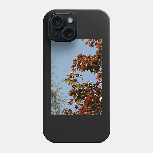 Autumnal Phone Case by tessiaphoto