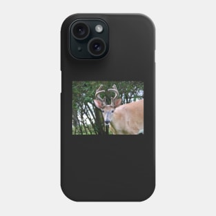 Only one buck! Phone Case