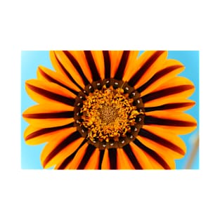 Gazania &#39;Tikal&#39;  SunBathers Series T-Shirt