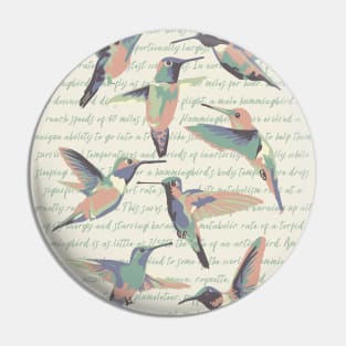 Hummingbird Info Pin