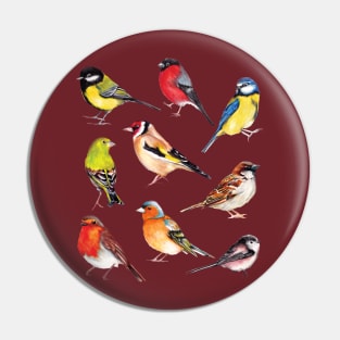 Watercolour Garden Birds Collection Pin