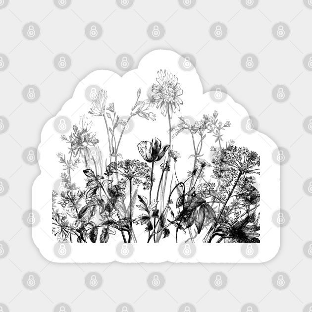 Black White Wild Flowers Botanical Pattern Illustration Vintage Magnet by Bramblier