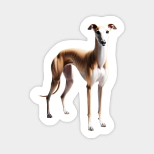 Greyhound Magnet