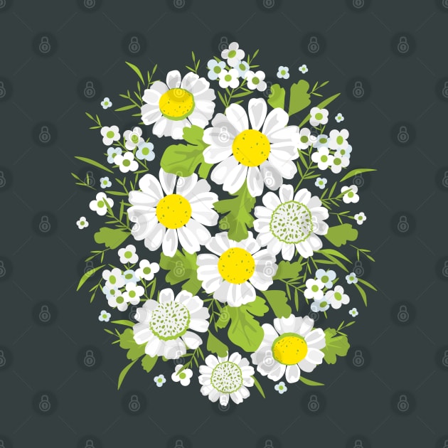 Daisy Flowers by lents