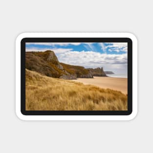 Tor Bay from Crawley Woods, Gower Magnet