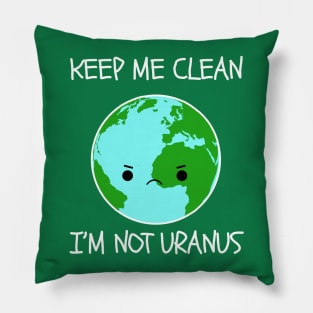 Funny Earth Day Pillow