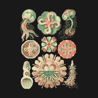 Ernst Haeckel Discomedusea Jellyfish Natural T-Shirt