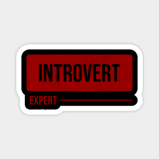 Introvert expert Magnet