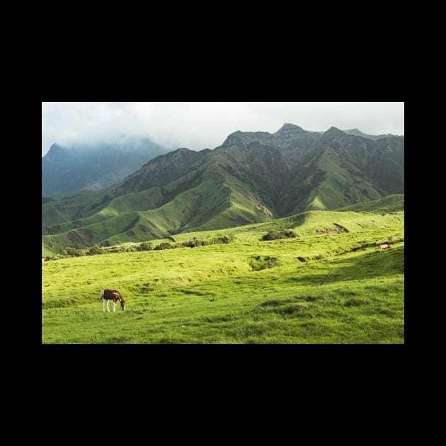 Japanese Countryside by opticpixil