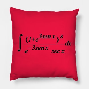 Integrals Pillow