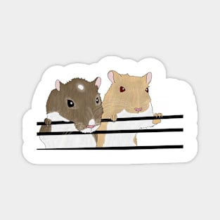 Two cute gerbils holding on to cage bars Magnet