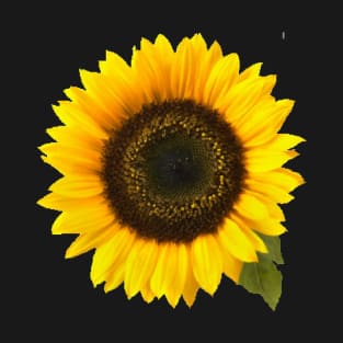 Sunflower T-Shirt