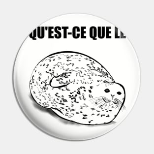 Qu'est-ce que le Pin