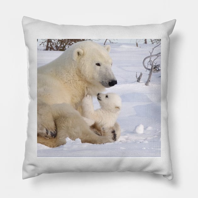 Mother polar bear relaxing with cub Pillow by mjoncheres