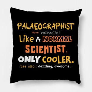 Palaeography definition / Palaeographist gift idea / Palaeography present Pillow