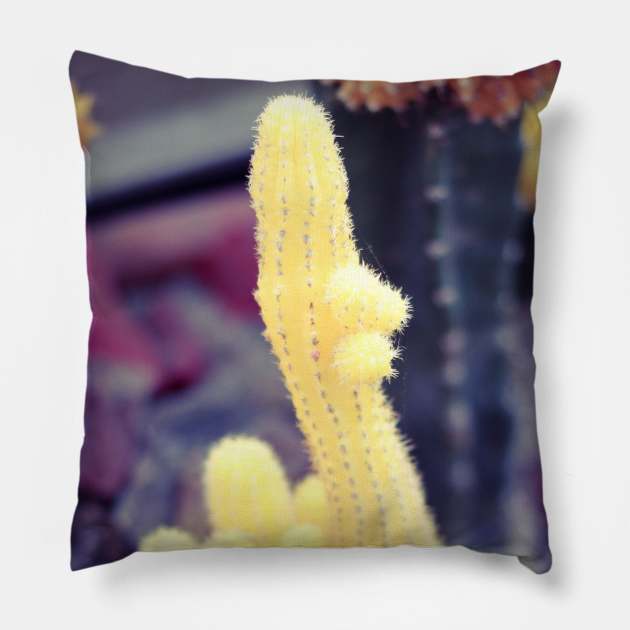 Funny Cactus yellow print Pillow by CreativeJourney