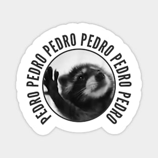 pedro raccoon Magnet