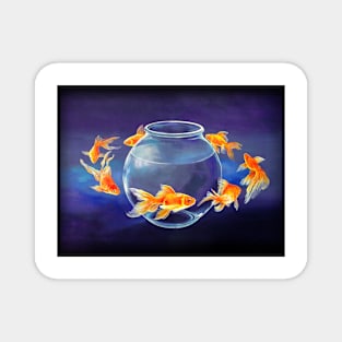 Goldfish XXVII Magnet