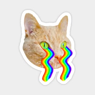 cat with rainbow waves flowing from eyes Magnet