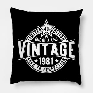 40th birthday gift idea for brother husband or son Pillow