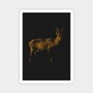 Alpine ibex Black and brownish golden Magnet