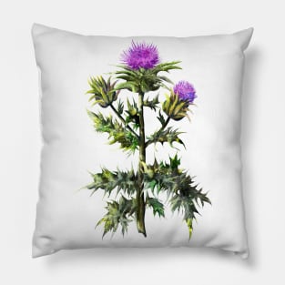 Thistle watercolor print Pillow