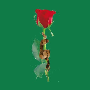 Snake on a Rose T-Shirt