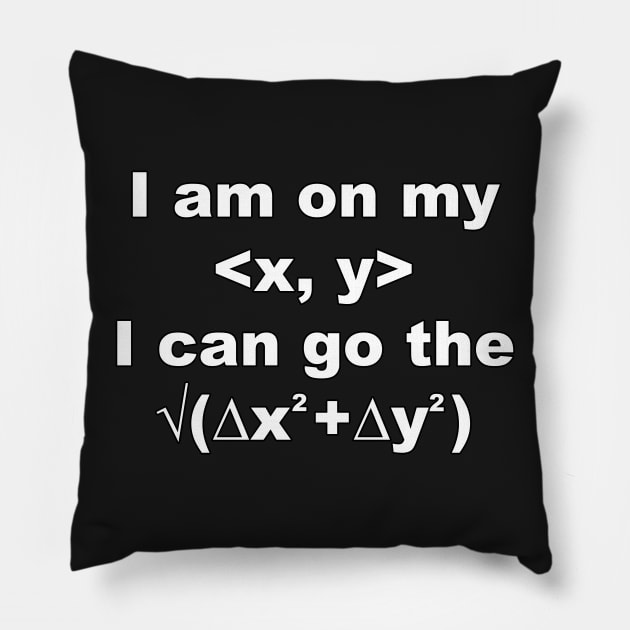 I can go the distance...between two points in space... Pillow by AnotherDayInFiction