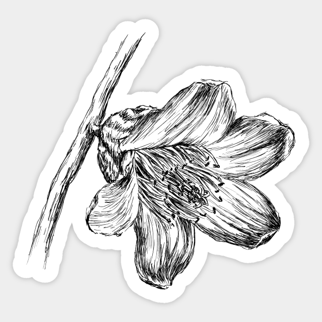 Silk Cotton Tree Flower Print Bombax Sticker Teepublic