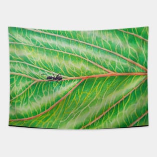 Ant on Leaf of a Chinese Plum Tree Tapestry