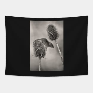 Harvest Mouse Tapestry