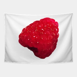 Juicy Red Raspberry Tapestry