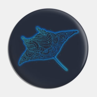 Electric Ray Pin