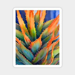 Aloe There Magnet