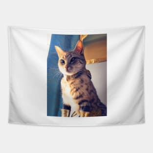 Golden armor knight cat: Iron Fists Tapestry