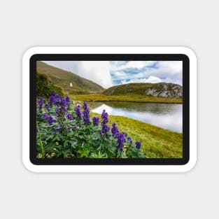 Mountain flowers by a glacial lake Magnet