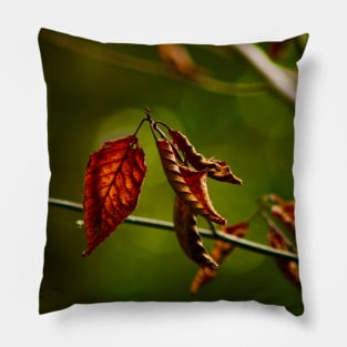 Dry Red Leaves Pillow