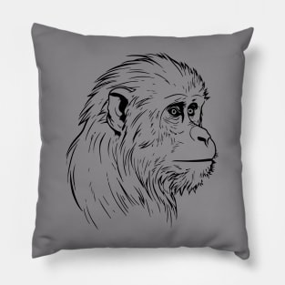 Monkey Pillow