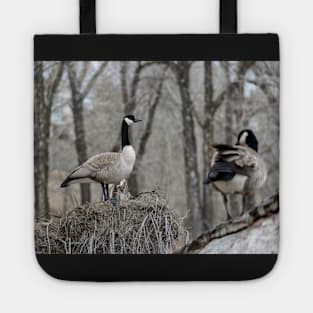 Canada Geese nesting Tote