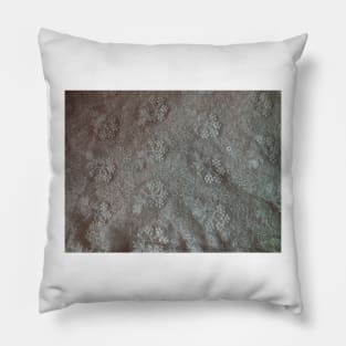 Floral Lace Pillow