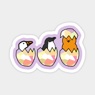 Three Funny Easter Eggs Hatching Magnet