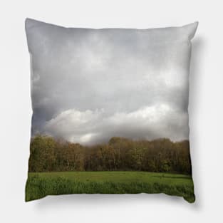 landscape3 Pillow