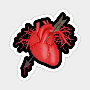 Anatomical Heart and Bloody Arrow, Valentine's Day Magnet