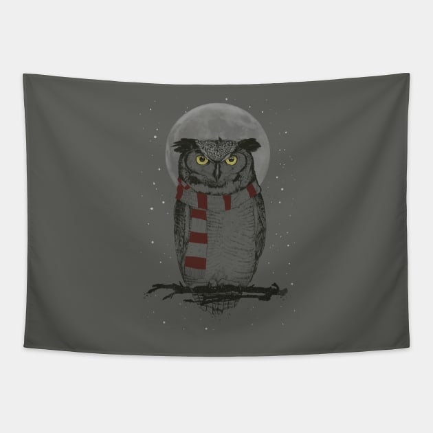 Winter owl Tapestry by soltib