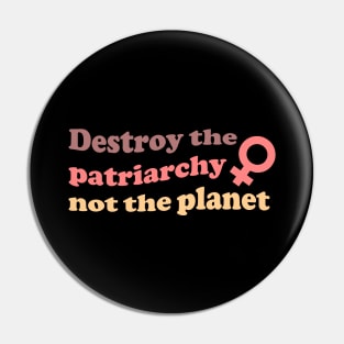 Destroy The Patriarchy Not The Planet Pin