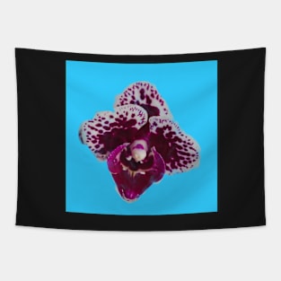 Purple Speckled Orchid Tapestry