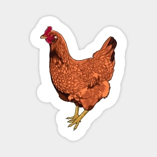 Rhode Island Red Chicken Magnet