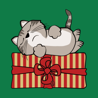 Cat on Gift Package T-Shirt