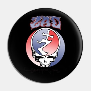 Zao Band Pin