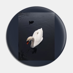 swan Pin